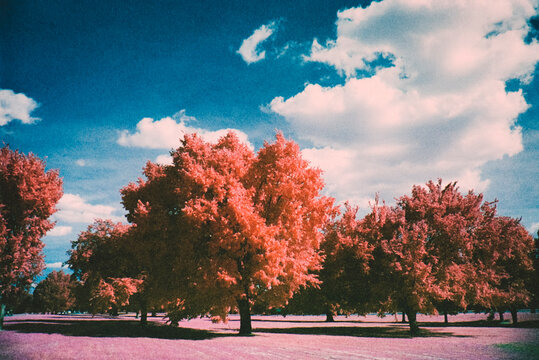 DMV in Infrared