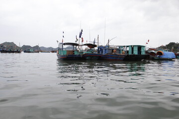 Obraz premium HA LONG BAY, VIETNAM - NOVEMBER 13, 2018: Halong Bay, Vietnam. Unesco World Heritage Site. Traditional tourist boats.