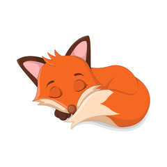 Cute fox sleeping on while background