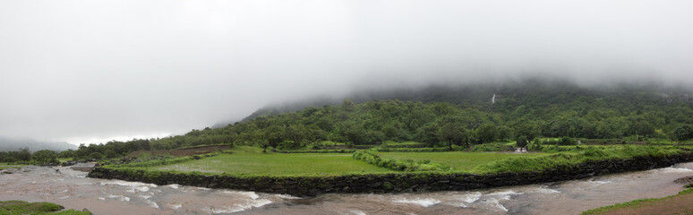 Panoramic view of rainforest in the monsoons