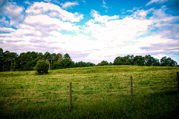 field and blue sky