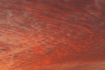 Red cloudscape