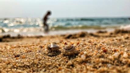 people on the beach