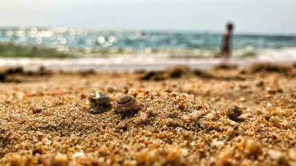 beach in the morning sun