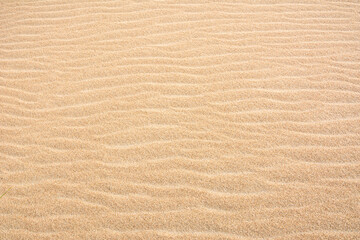 Fototapeta na wymiar Texture of the sand. Wind ripples on the sandy beach