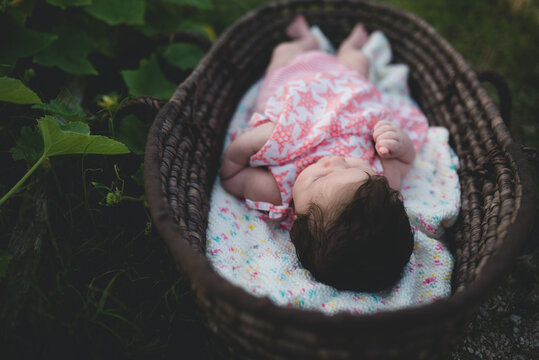 Sweet baby in a moses basket