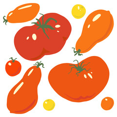 Set with tomatoes, Autumn harvest, vector