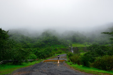 Fototapeta na wymiar rainforest in the monsoons