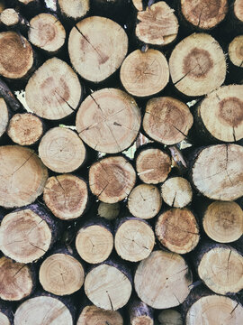 Logs for the Fire