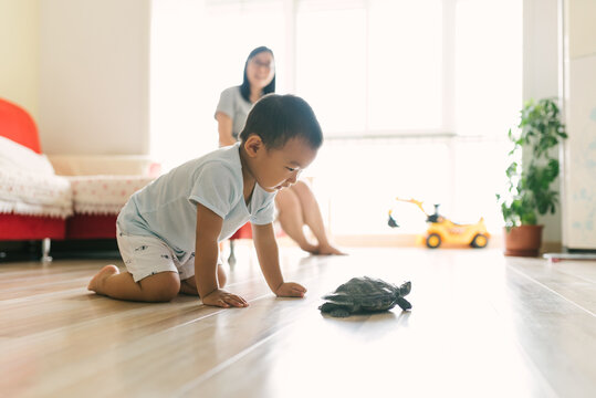 Toddler boy and mother playing with his pet turtle