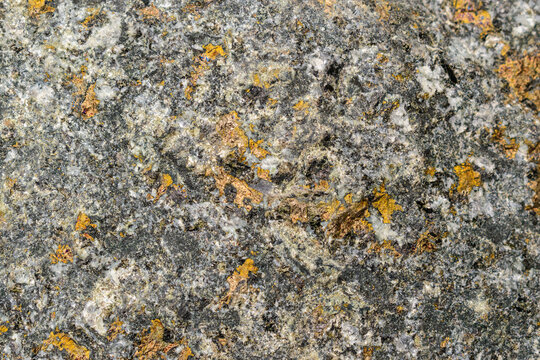 Granite with interspersed with sulfadic copper-nickel ore. Glitter Gold color. Mineral composition is chalcopyrite, pyrrhotite, pentlandite, cubanite, platinum group metals. Oktyabrskoye deposit. 