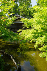 Fototapeta premium 初夏の日本庭園の風景