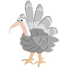 Turkey, funny vector color illustration