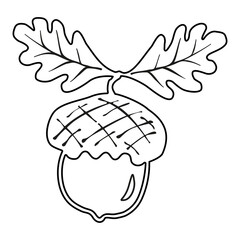 Line oak branches with leaves and acorns outline, silhouettes on white background. Line oak lives acorn illustration.