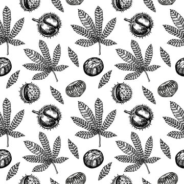 Chestnuts seamless pattern. Chestnut leaves and fruits sketch seamless background.