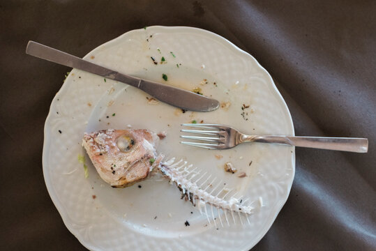Finished fish in the plate