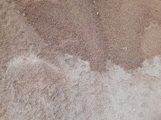 animal feed Large bulk products placed on the ground floor of the warehouse, which is a type of fodder. Organized in the animal feed business group Waiting for delivery to customers	