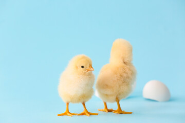 Cute hatched chicks on color background