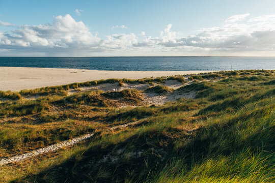 Sandy North Sea Beach in Sylt (Germany)