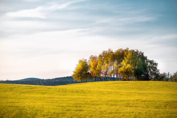 Fototapeta premium autumn landscape with trees