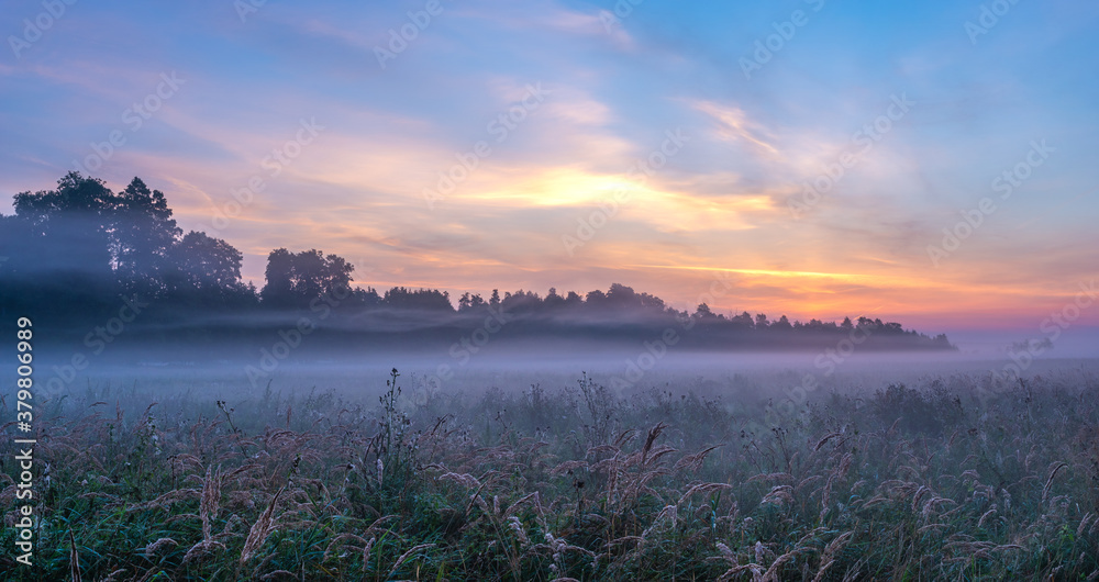 Wall mural morning mists sweeping over a forest meadow in the swidwie reserve in poland during a wonderful sunr