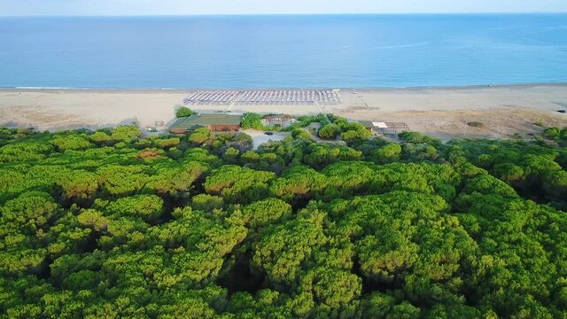 RIPRESA AEREA CON DRONE A BASSA QUOTA SU SPIAGGIA ATTREZZATA FINO AD UN FITTO BOSCO