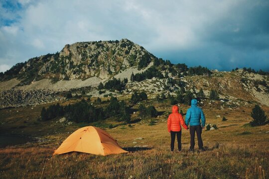 my life in a nutshell