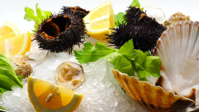 FRUTTI DI MARE: VONGOLE, OSTRICHE E RICCI DI MARE SU PIATTO CHE GIRA