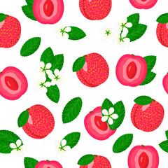 Vector cartoon seamless pattern with Plum Apricot hybrid or Pluot exotic fruits, flowers and leafs on white background