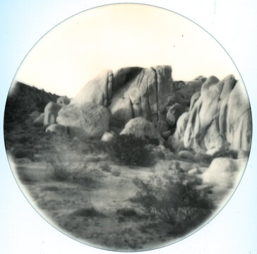 Joshua Tree, California Polaroid