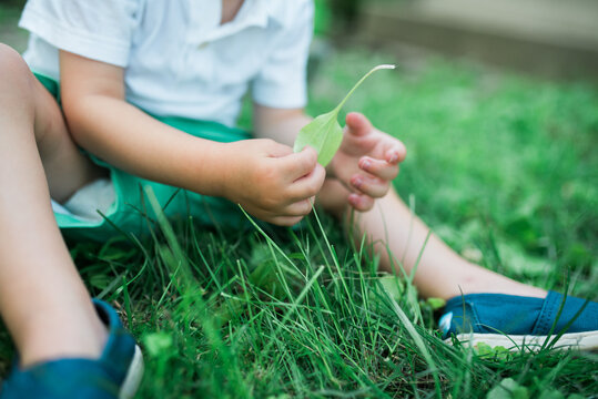 Two young twins playing outside in the summertime