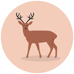 
Deer vector, christmas animal concept 
