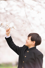 中学生 春