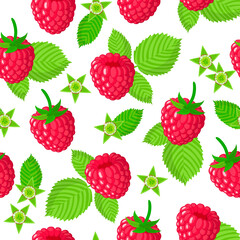Vector cartoon seamless pattern with Rubus idaeus or Raspberry exotic fruits, flowers and leafs on white background
