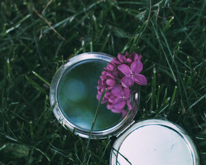 mirror in the grass