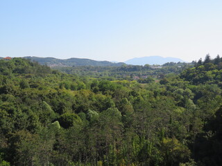Fototapeta na wymiar Waldgebiet in Pazin, Istrien, Kroatien