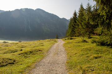 Waldwege mit Bergen im Hintergrund