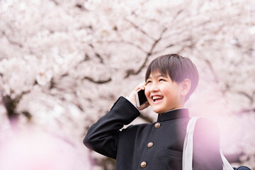 中学生 春