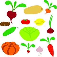 Vector drawing of garden vegetables without GMO handmade on a white isolated background. Cabbage, cucumber, zucchini, tomato, pumpkin, squash, onions, garlic, beets, carrots, turnips, radishes, potato
