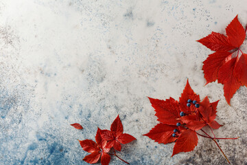 Red autumn leaves on a blue background