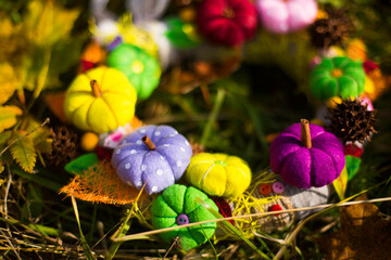 Decorative handmade autumn wreath with colorful felt pumpkins, leaves and seeds on the grass and maple leaves