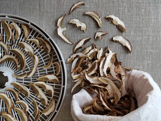 dried mushrooms on a dryer and in a cloth bag, next to lie scattered on canvas 