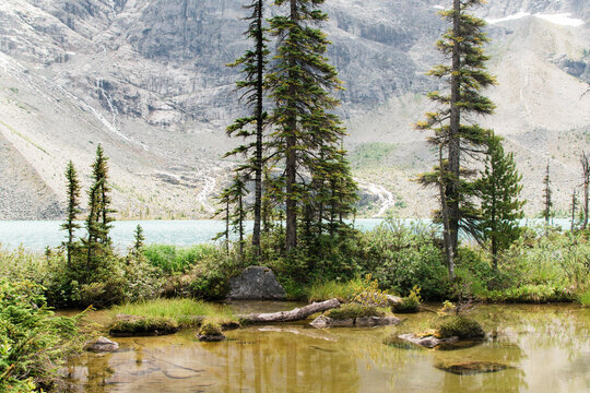 Joffre Lake near Pemberton, British Columbia