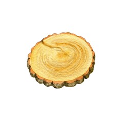 Watercolor circle wood slice with brown bark isolated on white background. Hand painted cut out single element