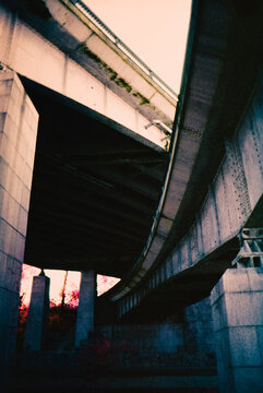Dystopian vibes