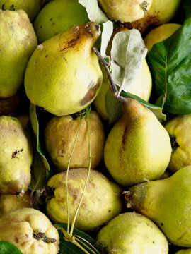 Quince Fruits