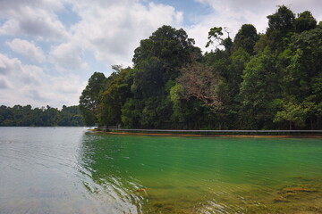 Fototapeta premium lake