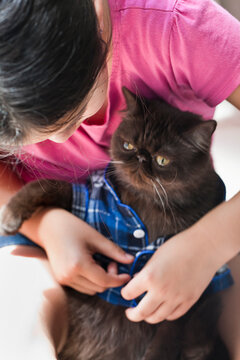 Dressing Cat