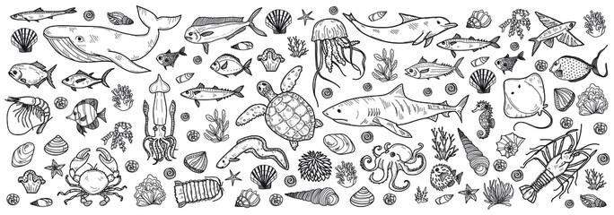 Banner with cute hand drawn marine animals, fish and shells. Vector illustration.  May use as coloring page. 