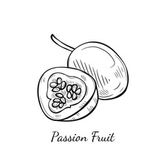 Illustration with cute hand drawn passion fruit. Vector fruit sketch